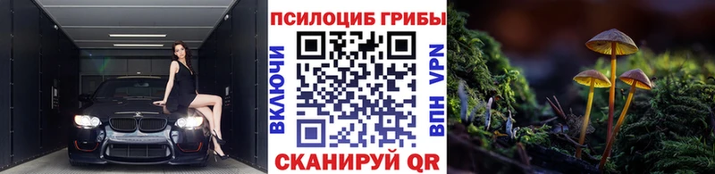 mega ТОР  дарк нет какой сайт  Псилоцибиновые грибы Cubensis  Приозерск 